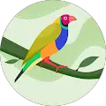 Matthew Earl Avatar